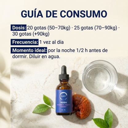 Reishi - beneficios para el descanso y el equilibrio