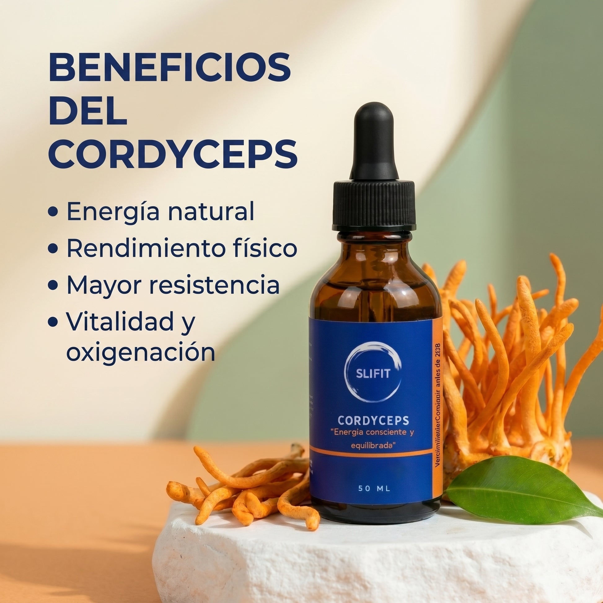 Cordyceps adaptógeno para energía y resistencia - SLIFIT