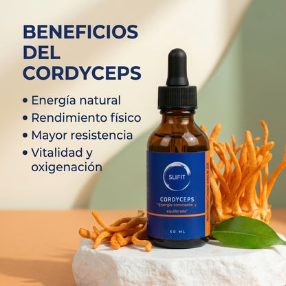 Cordyceps adaptógeno para energía y resistencia - SLIFIT
