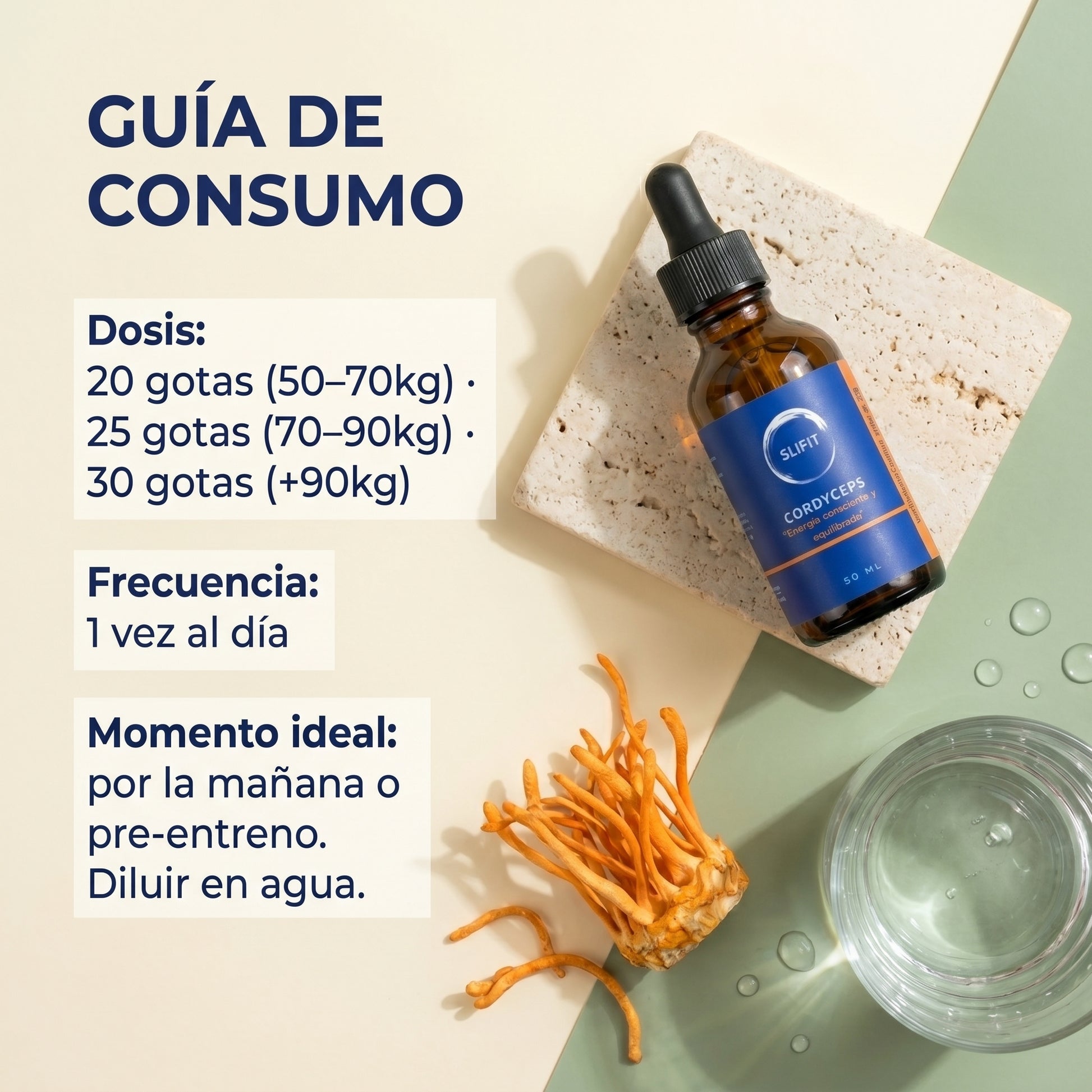 Cordyceps Militaris - beneficios y modo de uso