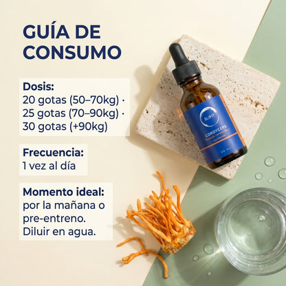 Cordyceps Militaris - beneficios y modo de uso