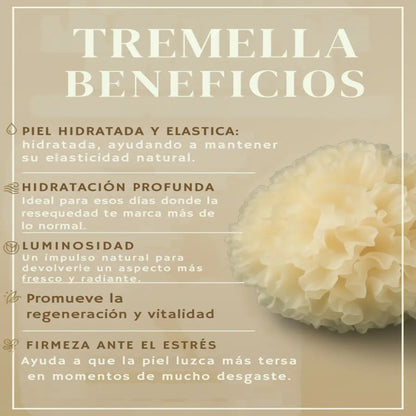 Beneficios tradicionales de Tremella