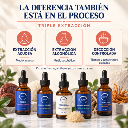 Proceso de triple extracción de los adaptógenos SLIFIT en formato líquido