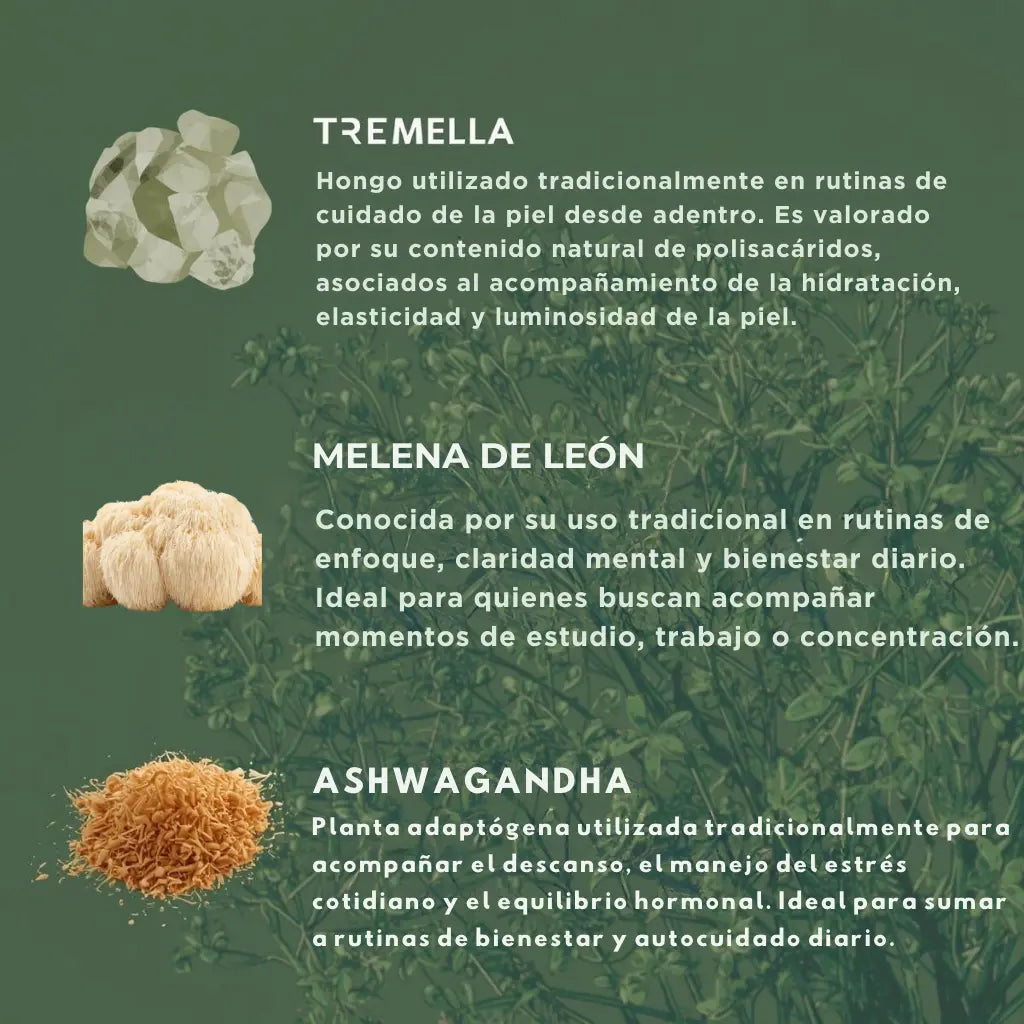 PACK MAYORISTA 10 UNIDADES A ELECCIÓN