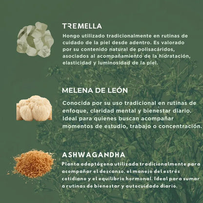 PACK MAYORISTA 10 UNIDADES A ELECCIÓN