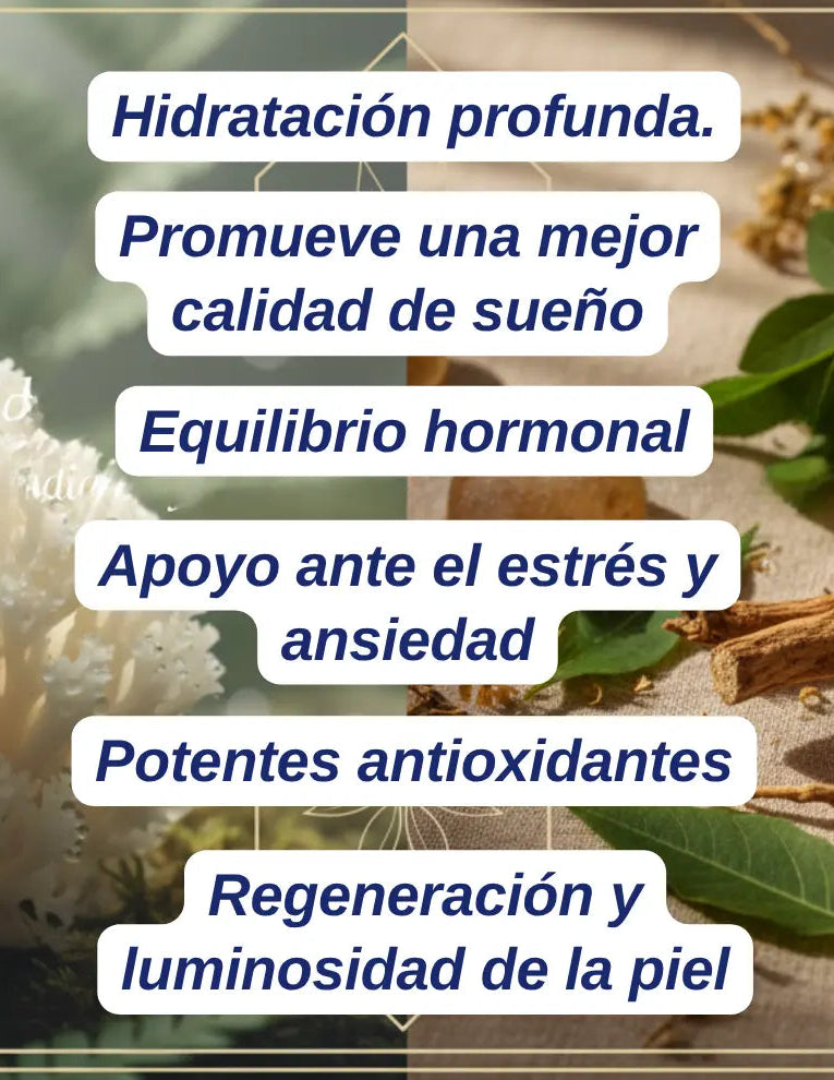 Kit Armonía (Tremella+Ashwagandha)