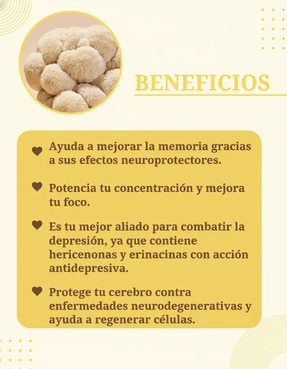 Melena de León 50ml - Triple extracto