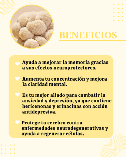 Combo (Melena de León +Ashwagandha)