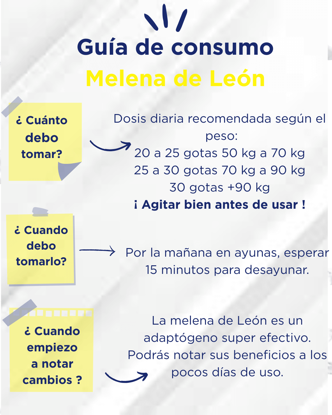 Melena de León 50ml - Triple extracto